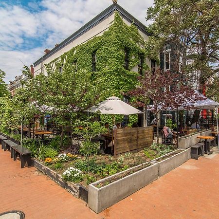Stylish Renovated Flat, Central, Walk To Dc Sights Washington Buitenkant foto