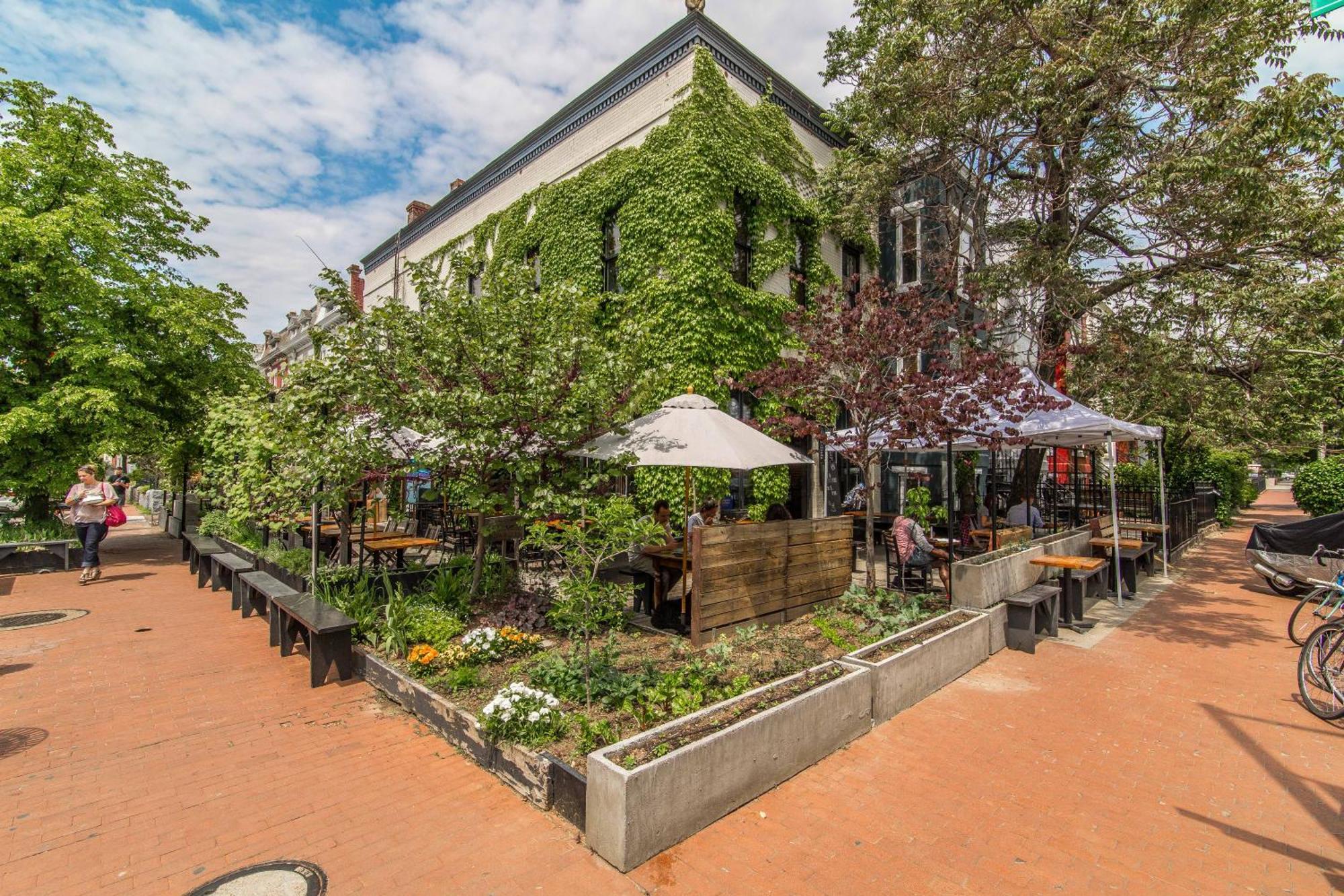 Stylish Renovated Flat, Central, Walk To Dc Sights Washington Buitenkant foto
